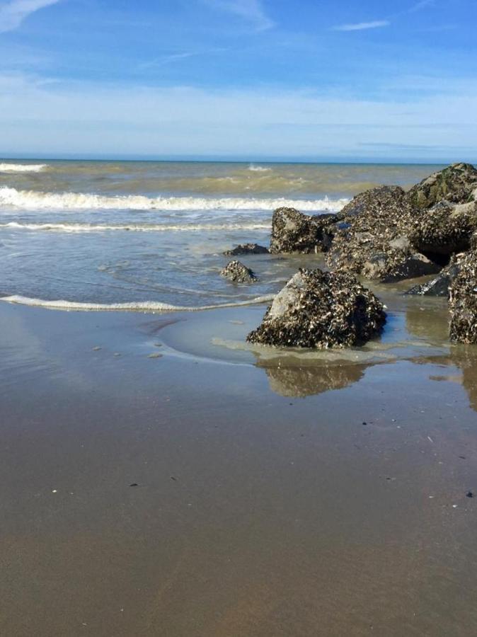Studio On The Beach With Sea View Middelkerke Bagian luar foto