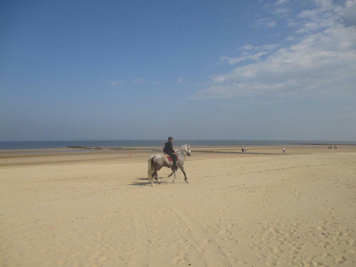 Studio On The Beach With Sea View Middelkerke Bagian luar foto